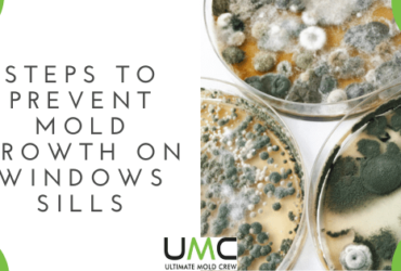 Prevent-Mold-Growth-On-Windows-Sills