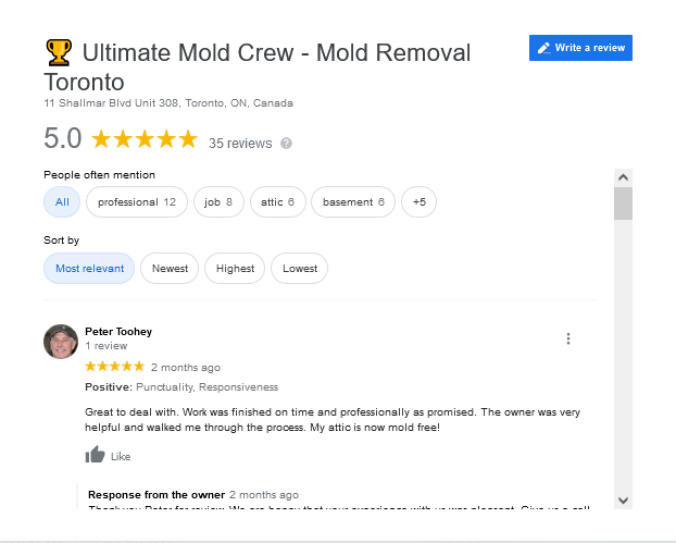 professional mold removal company toronto - read reviews