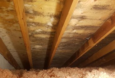attic attic