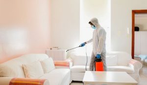home-disinfection-sanitization