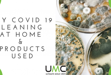 DIY COVID 19 Cleaning & Disinfecting At Home & Products Used