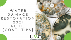 water damage restoration and repair services toronto