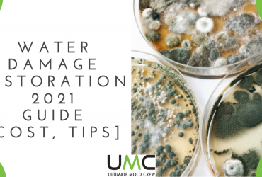 water damage restoration and repair services toronto