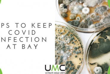 Tips To Keep COVID Infection AT Bay Tips To Keep COVID Infection AT Bay