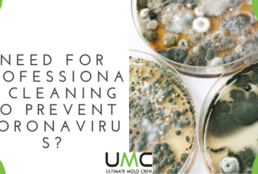 Need For Professional Cleaning To Prevent Spread Of Coronavirus