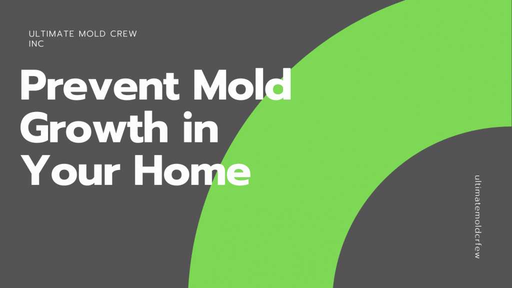 how-to-prevent-mold-growth-tips