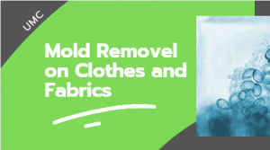 how to do mold removal on clothes and fabrics