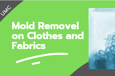 how to do mold removal on clothes and fabrics