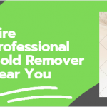 professional mold removal near you