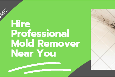 professional mold removal near you
