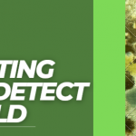 air testing and mold testing