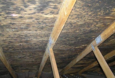 Attic Mold Removal in Toronto Attic Mold Removal in Toronto