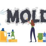 mold-remediation