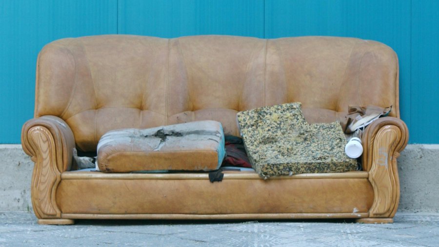 Mold-on-Your-Furniture-Sofas