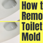 mold-in-the-toilet-how-to-remove-toilet-mold