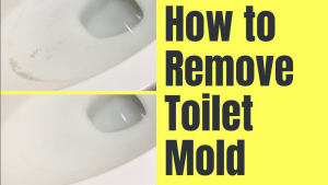 mold-in-the-toilet-how-to-remove-toilet-mold
