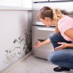 Insurance-Coverage-for-Mold-Damage