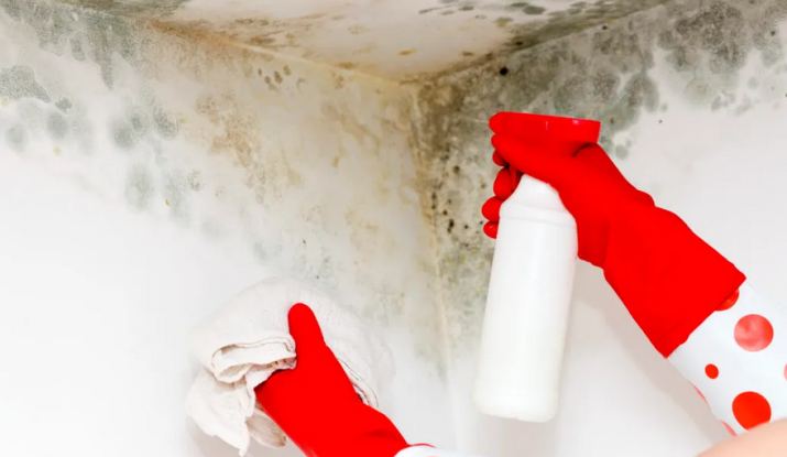 baking soda flood shower cleaner vinegar mold stain remover mold spores bathroom mildew remover