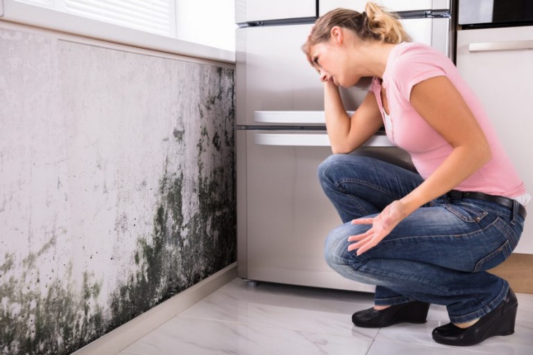 Mold in Rental Property - Tenant/Landlord Liability, Rights & Removal