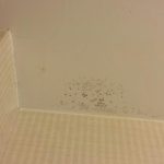 home, water, bathroom, hydrogen peroxide, baking soda, tea tree oil, black mold , mold removal, ceiling tiles , ceiling, remove