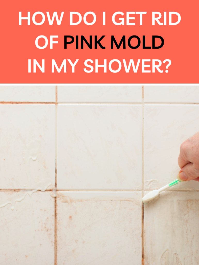pink mold shower get rid of pink mold removal bathroom shower.
