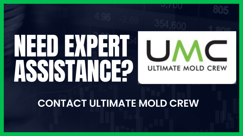 Need-Mold-Expert-Assistance