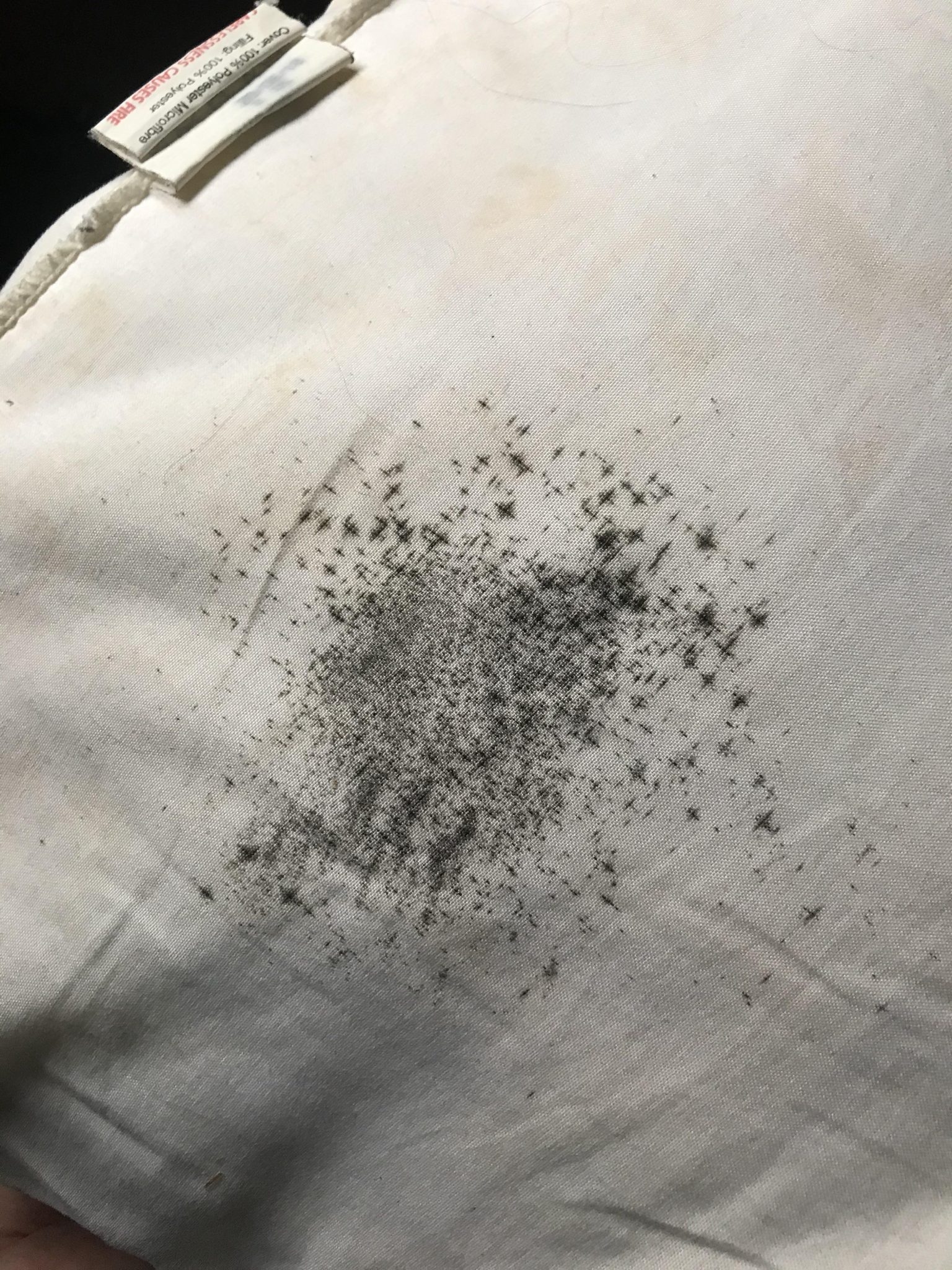 How to Get Remove Mold & Mildew From Pillows [2023] GUIDE