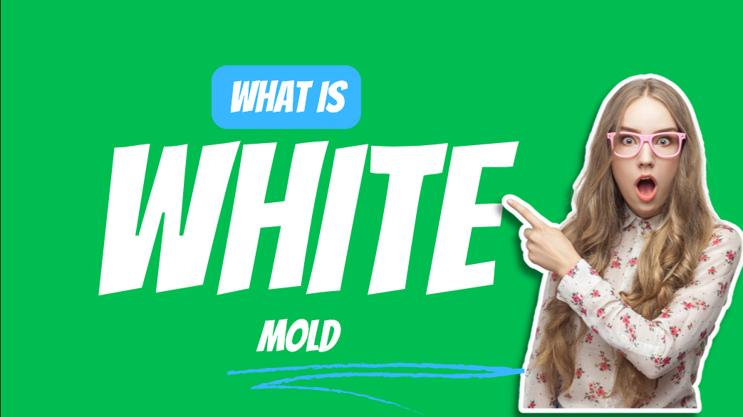 white-mold-types-causes-removal, white-mold Images, white-mold Removal, What causes white-mold, Fluffy white-mold , What kills white-mold , white-mold Smell, white-mold In bathroom