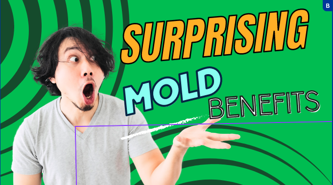 health benefits of mold