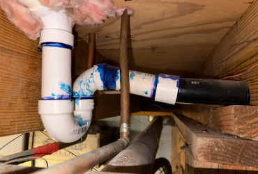 Stop Mold Growth in Pipes and Drains