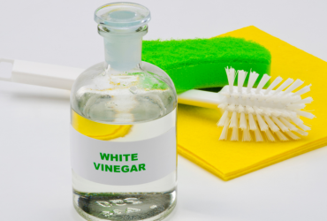 Should I Use Vinegar On Mold - Does Vinegar Kill Mold Should I Use Vinegar On Mold - Does Vinegar Kill Mold