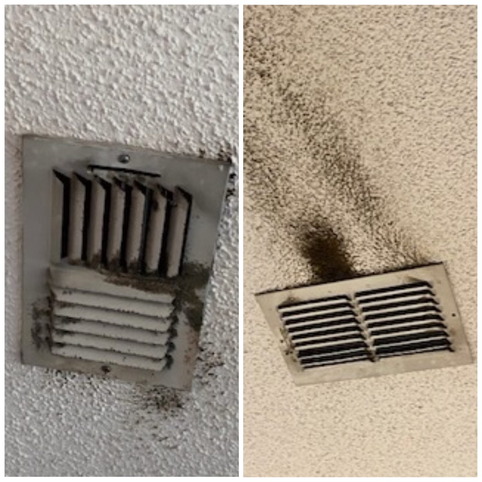 Mold in Your Air Vents? Signs, Symptoms, Prevention, Removal