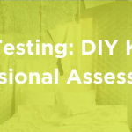 Mold-Testing-DIY-Kits-vs.-Professional-Assessments