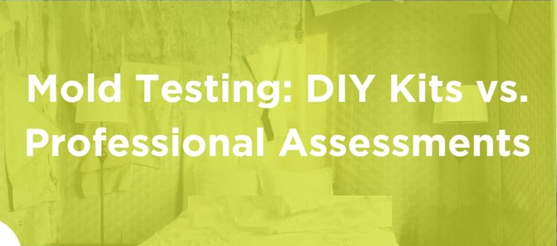 Mold-Testing-DIY-Kits-vs.-Professional-Assessments