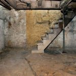 How To Identify Signs of Water Damage to Your Basement?