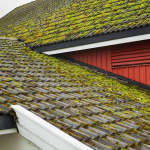 Roof damage, mold, moss, shingles, leaks, property value, health risks, slippery roof Professional roof cleaning, roof cleaning cost, roof cleaning services , Roof, professional services, cost