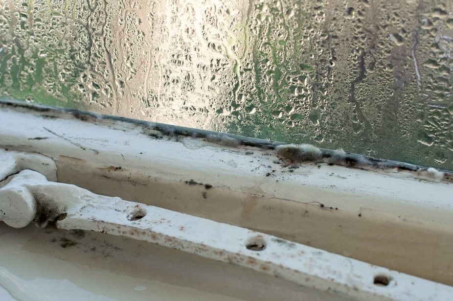 Wooden window sills Trim Condensation Mold growth Mold spores Cleaner Mold remediation Prevent mold
