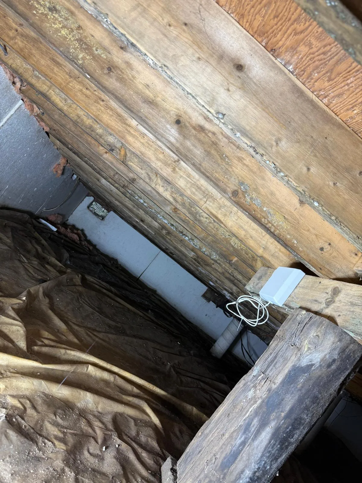 Protect Your Home with Crawl Space Encapsulation