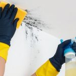 Removing Mold and mildew from Painted Walls and Ceilings