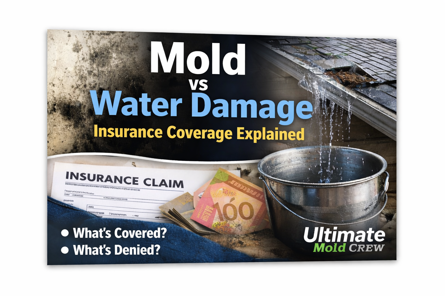 Mold vs water damage insurance guide