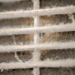 Mold-Claims-Denied-GTA