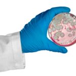 Winter Mold Impacts Air Quality