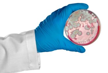 xr:d:DAFyxF_493o:36,j:3853244566419232307,t:24011020 Winter Mold Impacts Air Quality