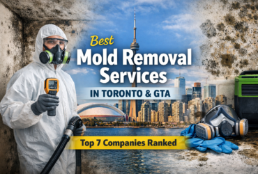 best mold removal company toronto ultimate mold crew reviews Google best mold removal company toronto ultimate mold crew reviews Google.