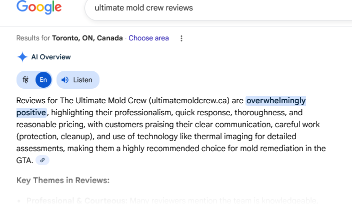 ultimate mold crew reviews Google