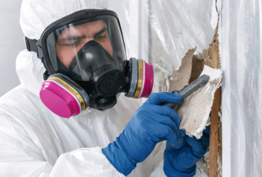 Mold remediation safety Mold remediation safety
