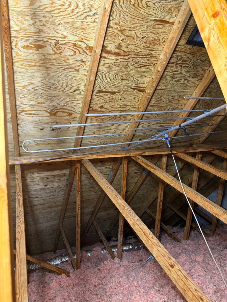 Attic mold removal after_images