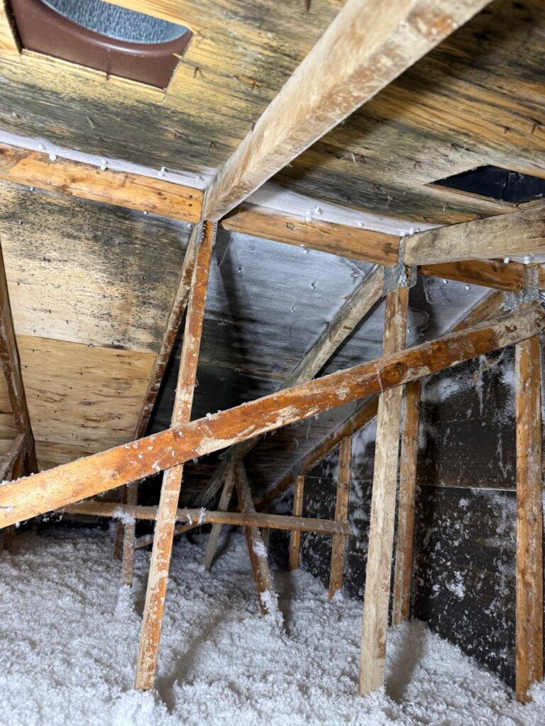 attic mold removal - before_