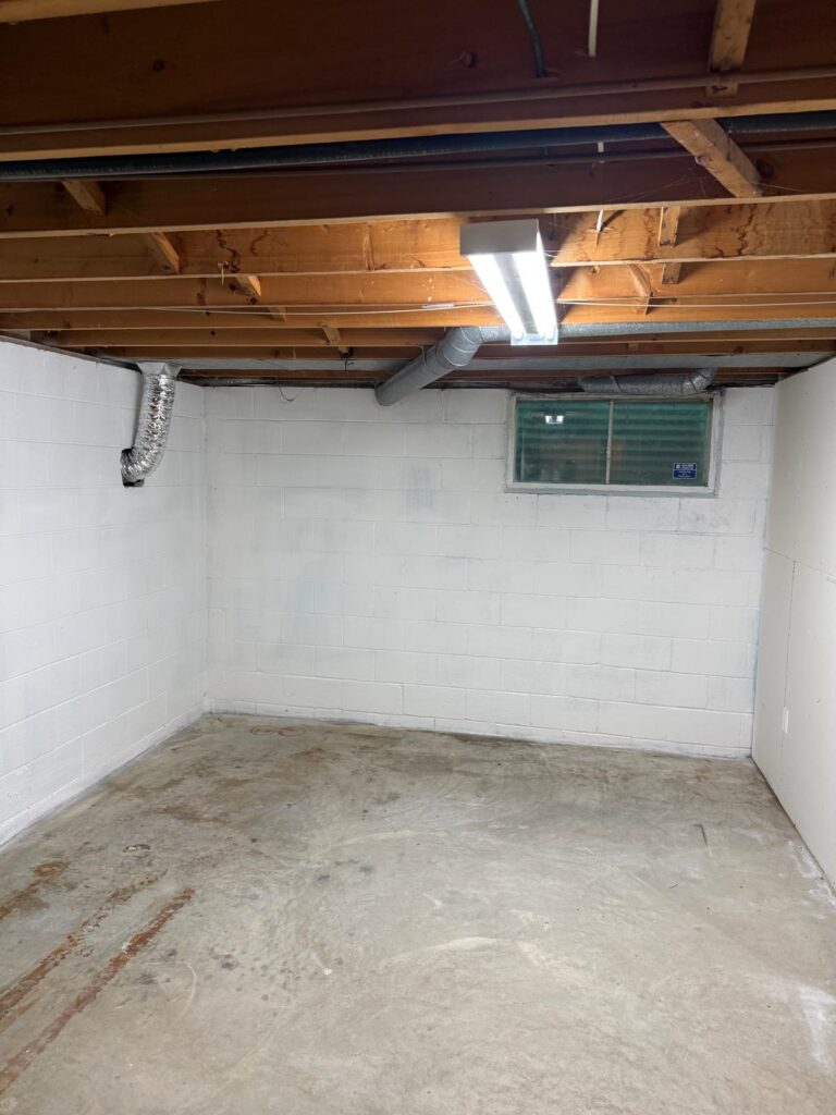 What It Looked Like After basement mold removal What It Looked Like After basement mold removal