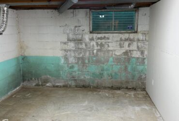 basement Mold removal - before (toronto)
